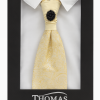 corbatín/plastron/amarillo/diseño